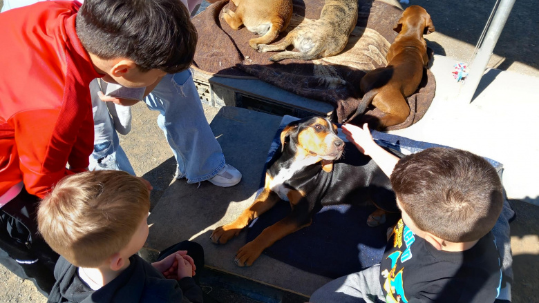 FC-Doppelvolltreffer löst Titelverteidiger ab